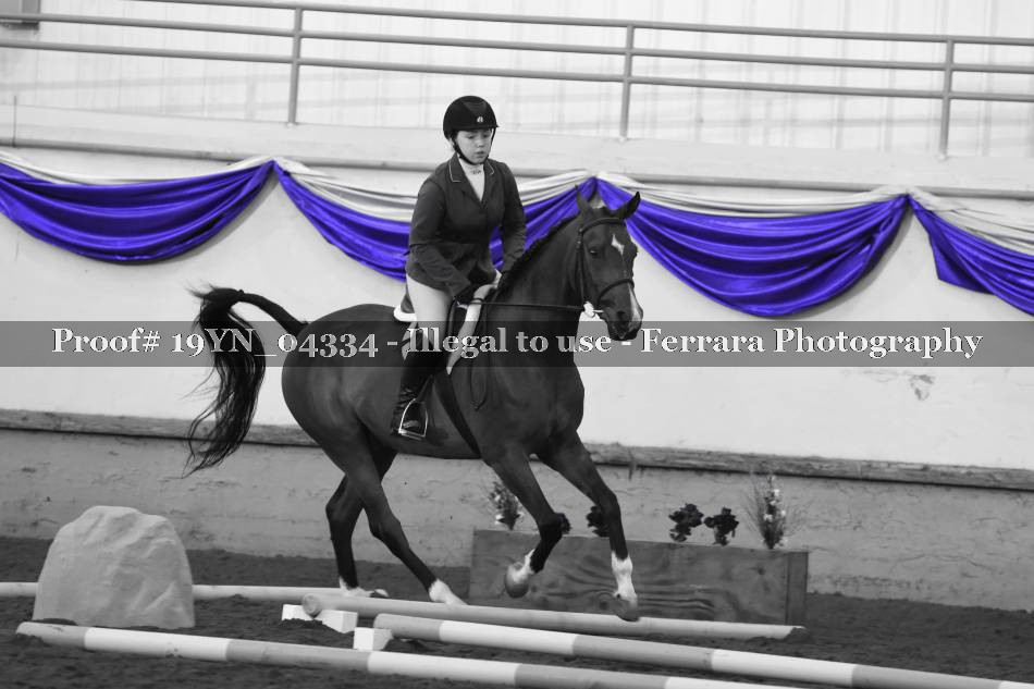 Proof 19YN_04334