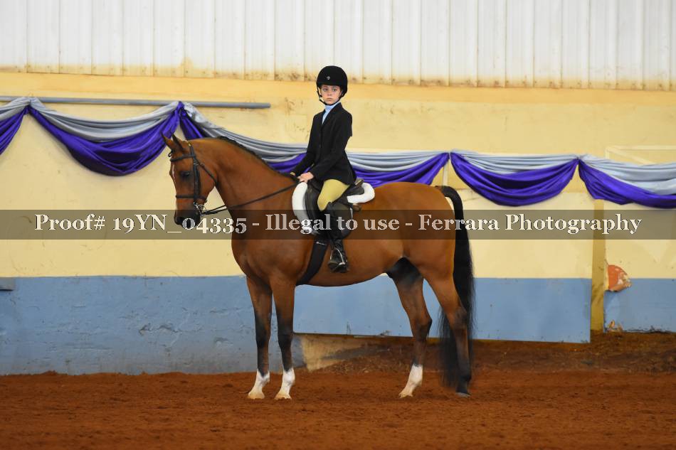 Proof 19YN_04335