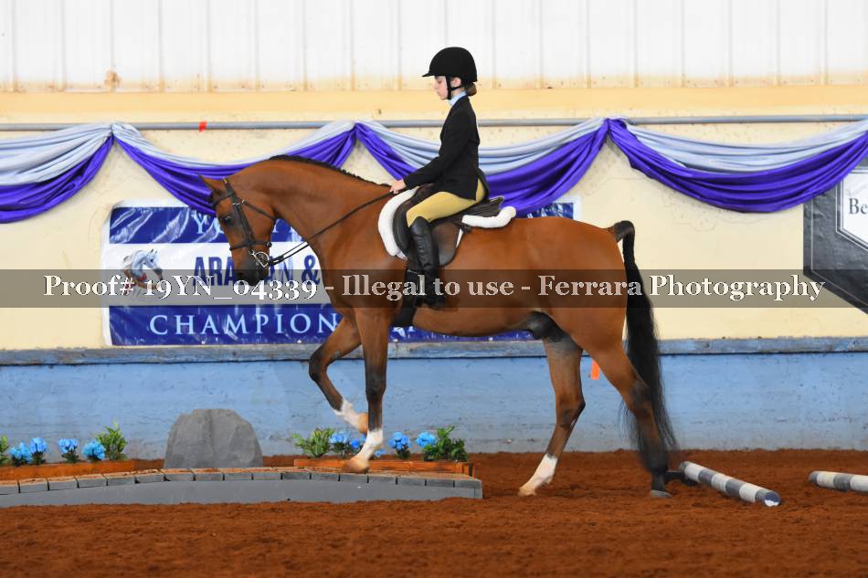 Proof 19YN_04339