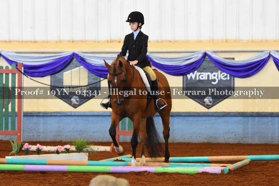 Proof 19YN_04341