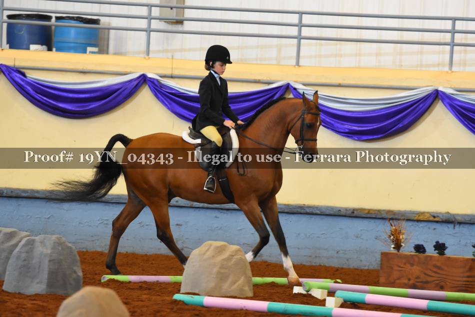Proof 19YN_04343