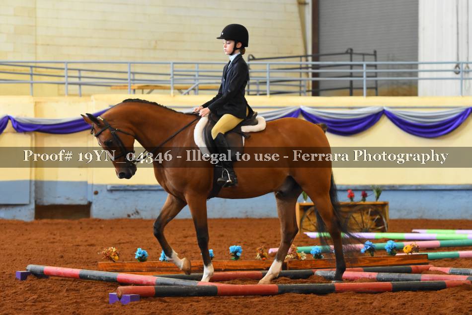 Proof 19YN_04346