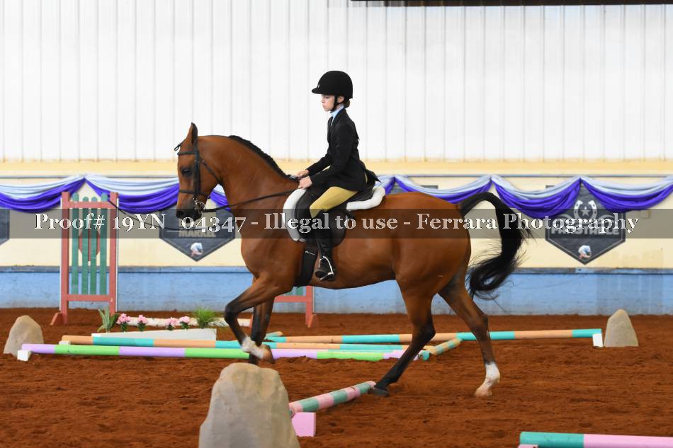 Proof 19YN_04347