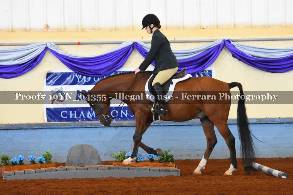 Proof 19YN_04355