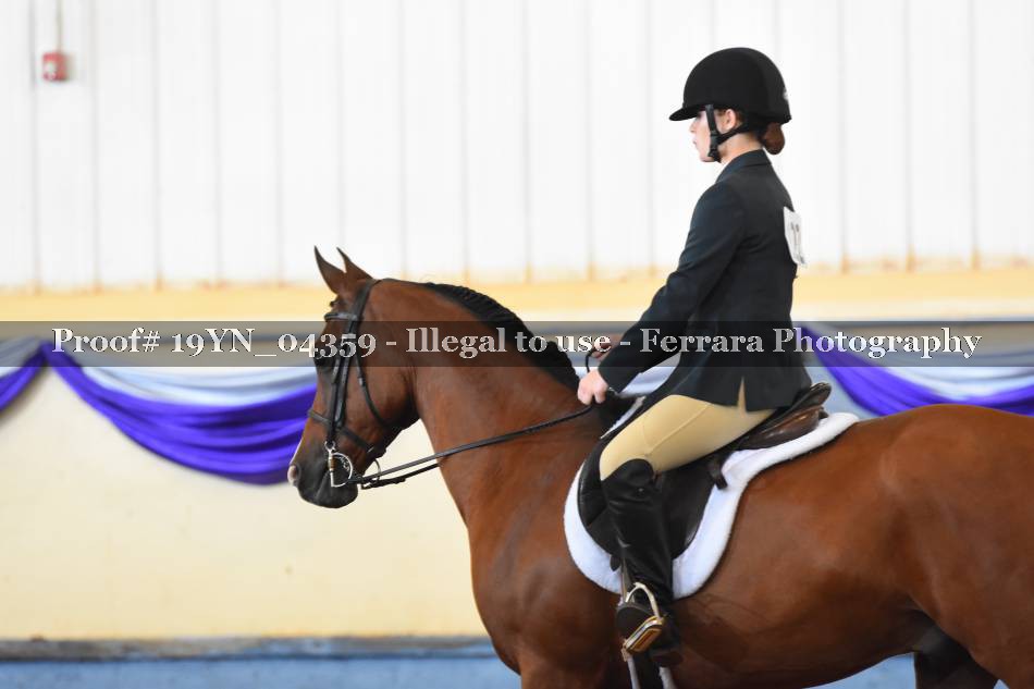 Proof 19YN_04359