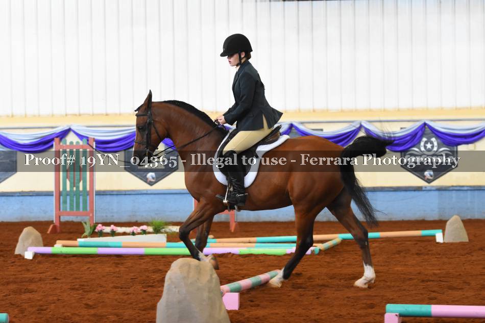 Proof 19YN_04365