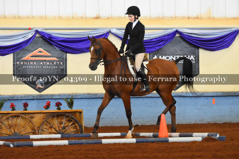 Proof 19YN_04369