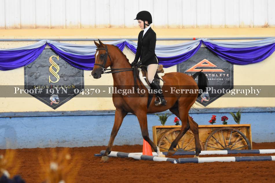 Proof 19YN_04370
