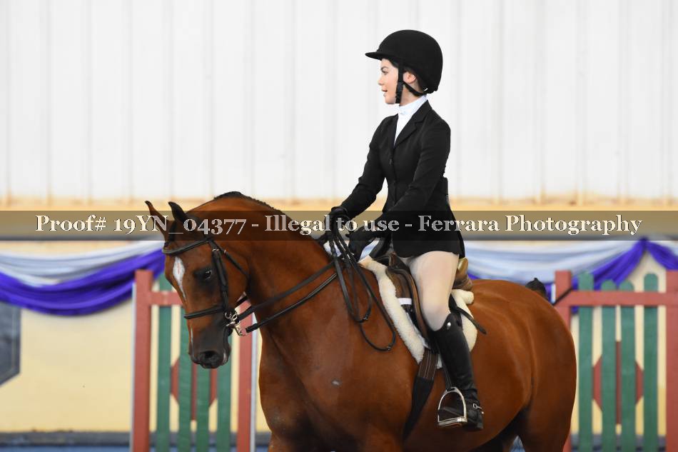 Proof 19YN_04377