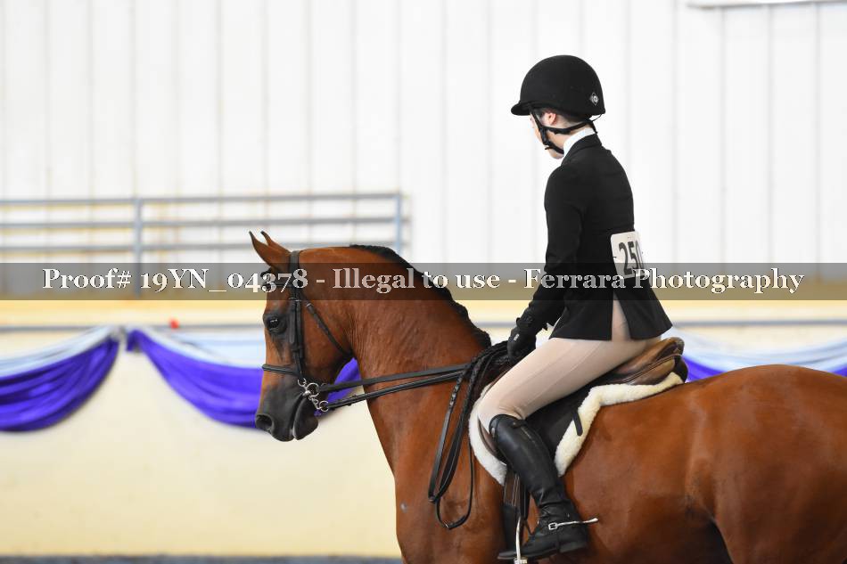 Proof 19YN_04378