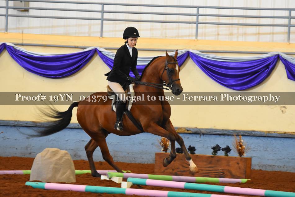 Proof 19YN_04379