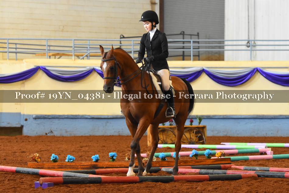 Proof 19YN_04381