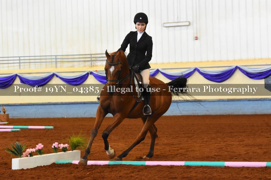 Proof 19YN_04385