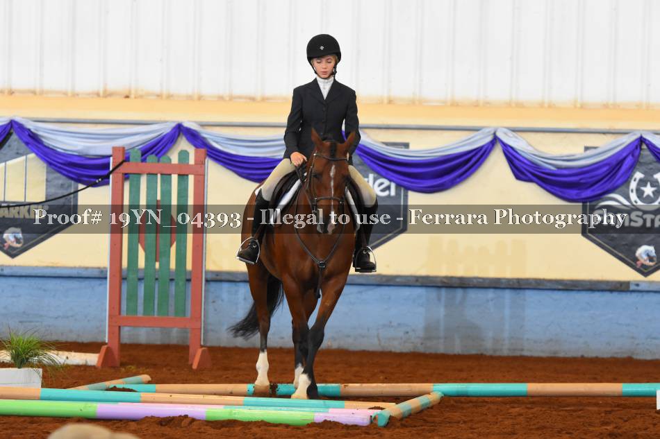 Proof 19YN_04393