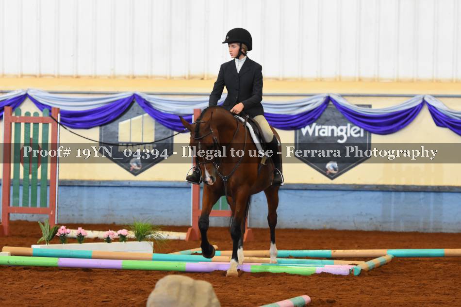 Proof 19YN_04394