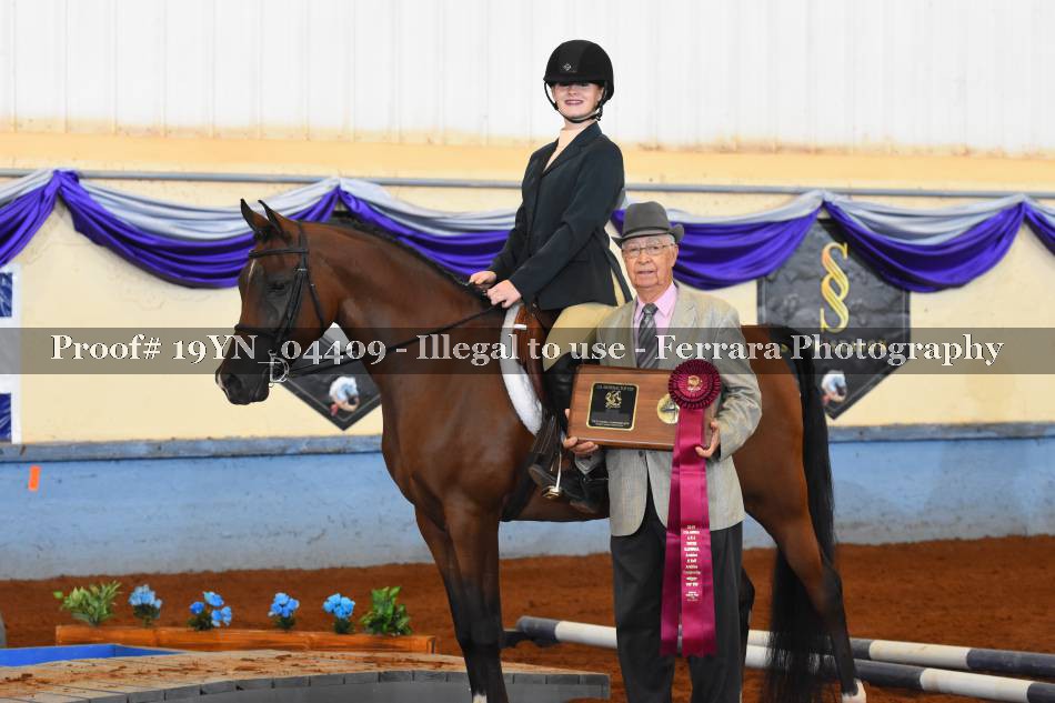 Proof 19YN_04409