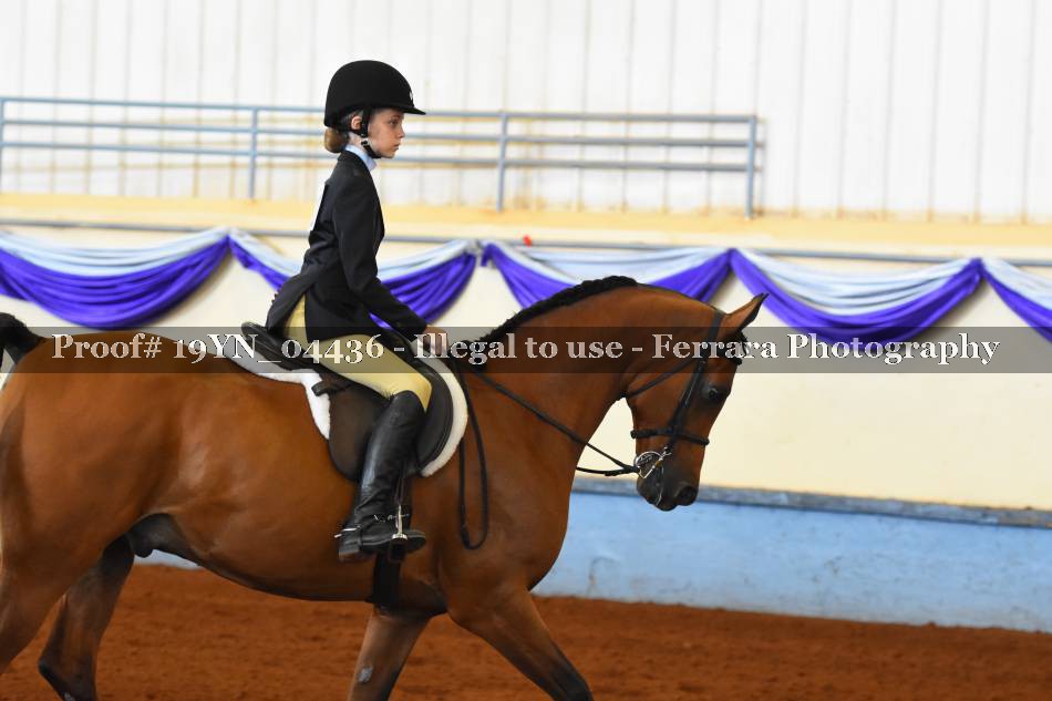 Proof 19YN_04436