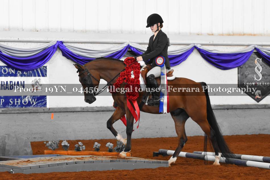 Proof 19YN_04456