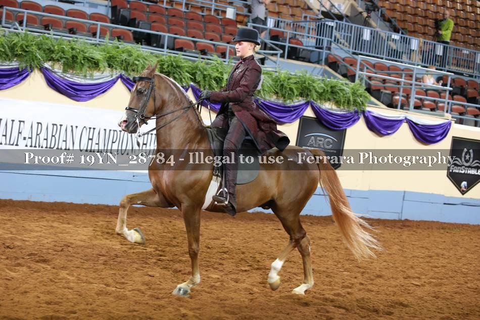 Proof 19YN_28784