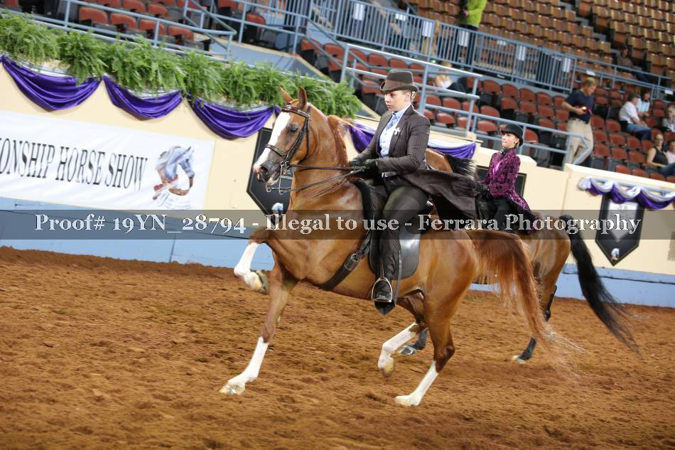 Proof 19YN_28794