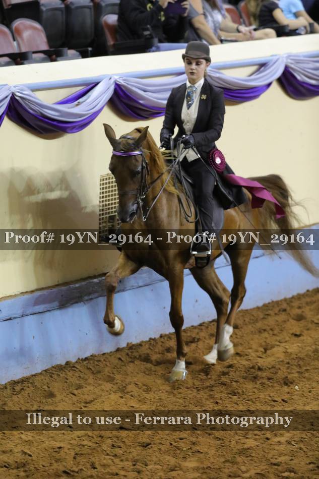 Proof 19YN_29164