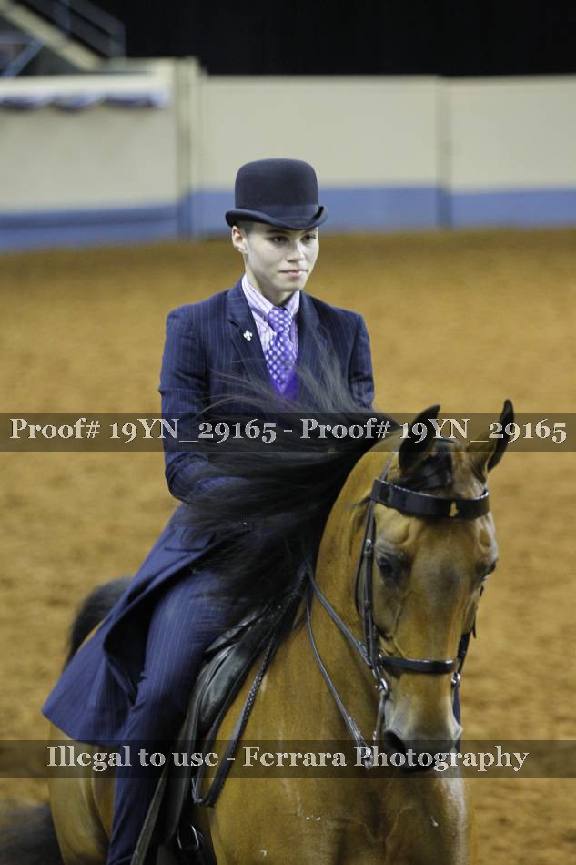 Proof 19YN_29165