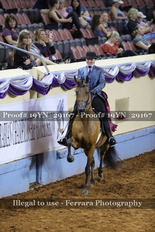Proof 19YN_29167