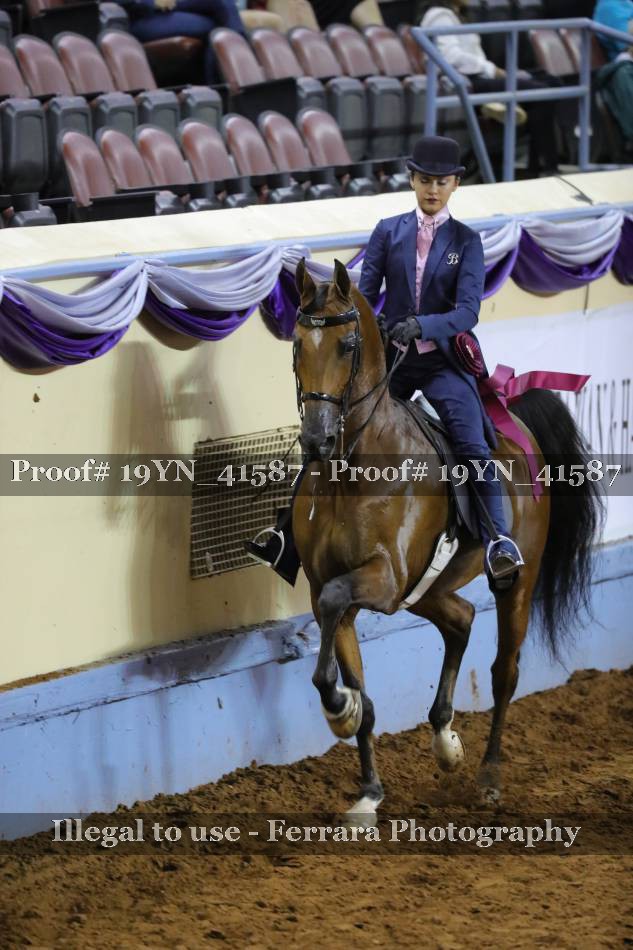 Proof 19YN_41587