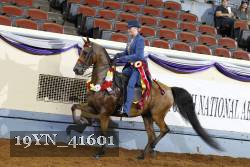19YN_41601 proof