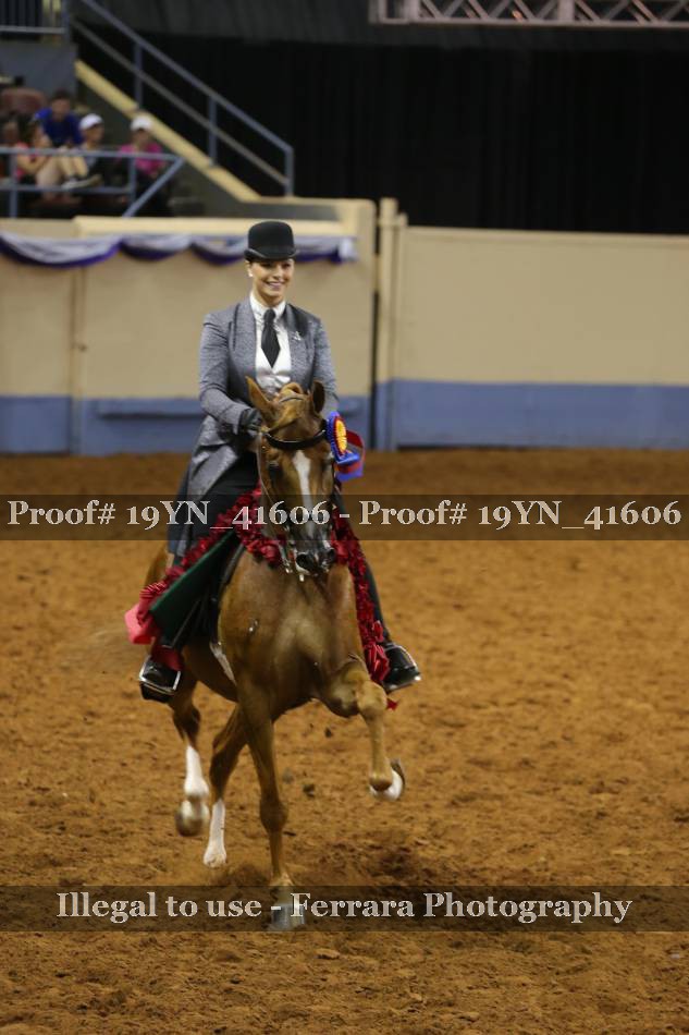 Proof 19YN_41606
