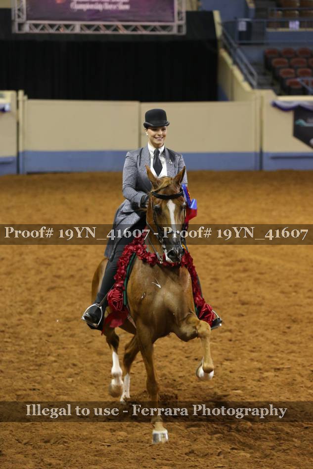 Proof 19YN_41607