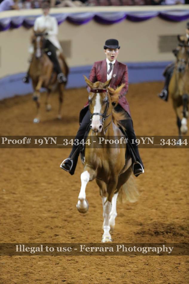 Proof 19YN_34344