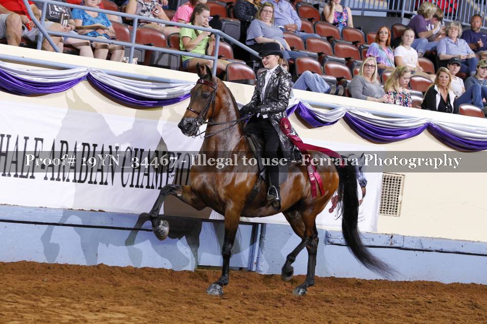 Proof 19YN_34467