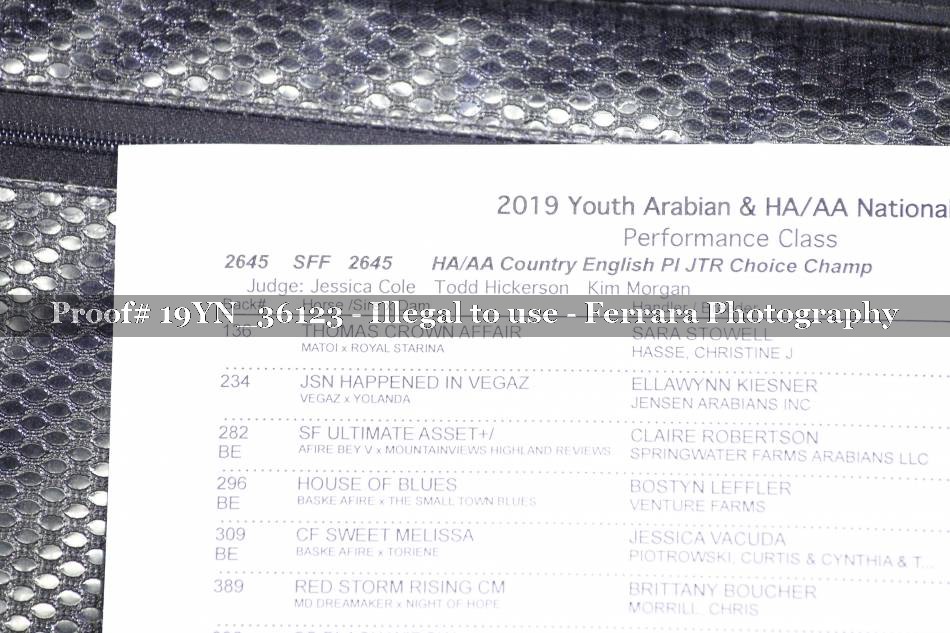 Proof 19YN_36123