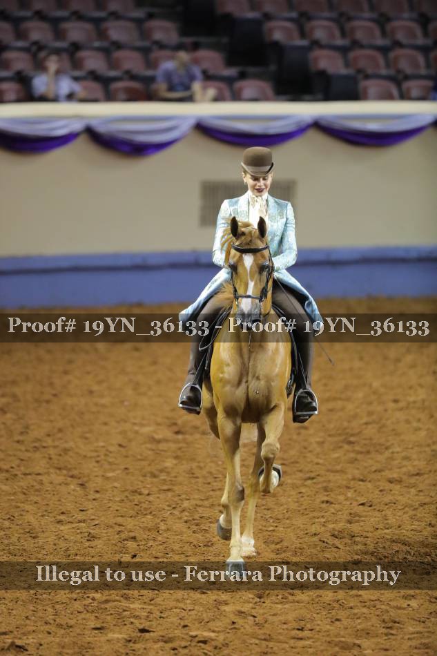 Proof 19YN_36133