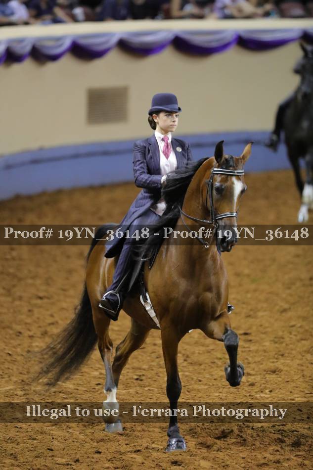 Proof 19YN_36148
