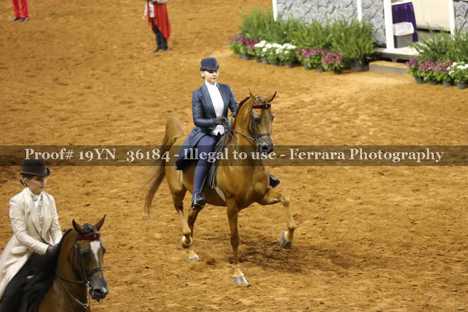 Proof 19YN_36184
