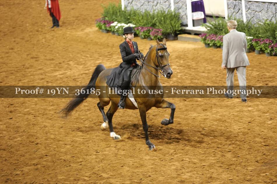 Proof 19YN_36185