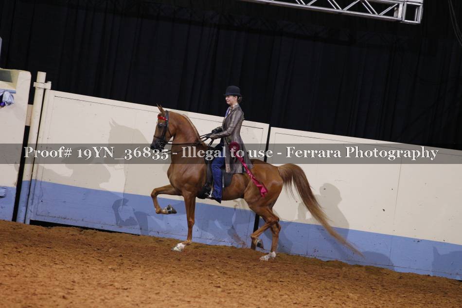 Proof 19YN_36835