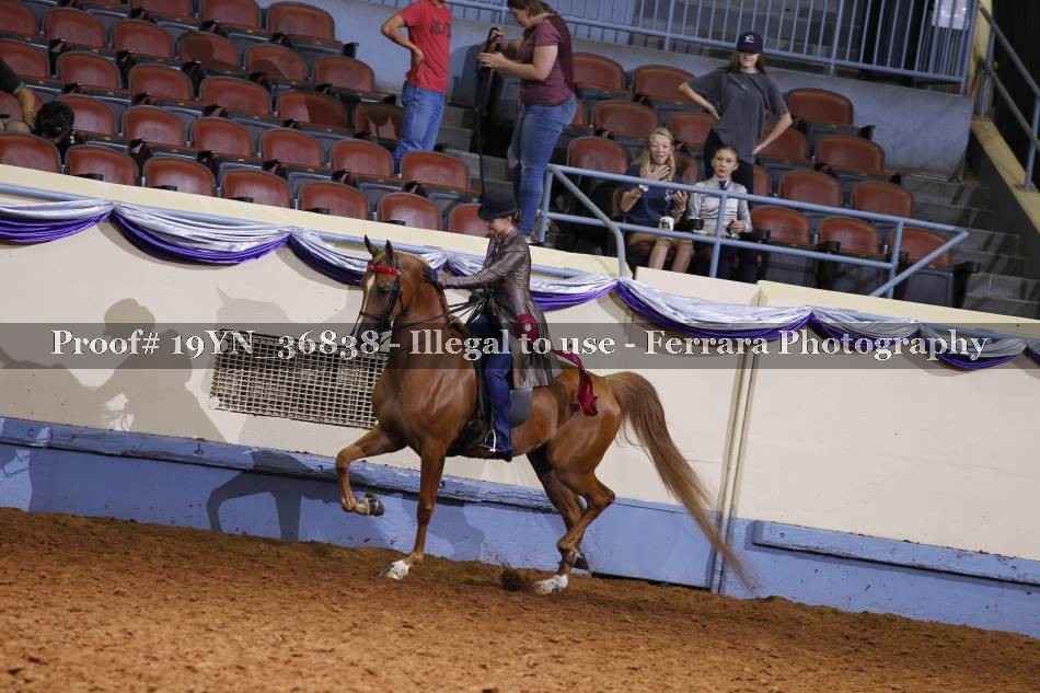 Proof 19YN_36838