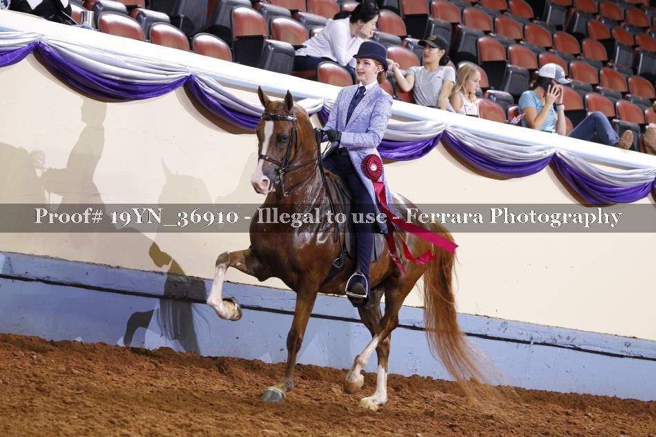 Proof 19YN_36910