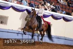 19YN_36918 proof