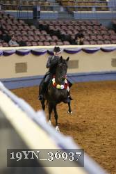 19YN_36937 proof