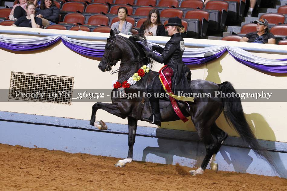 Proof 19YN_36952