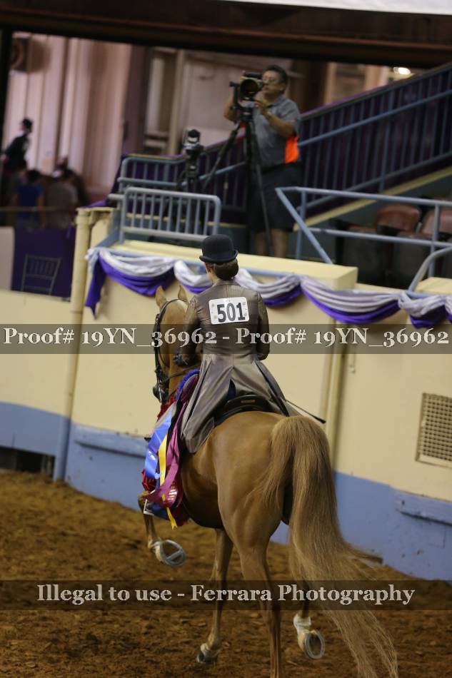 Proof 19YN_36962
