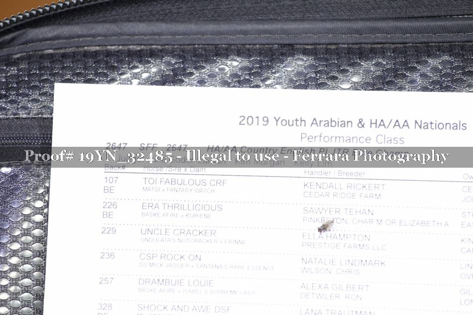 Proof 19YN_32485