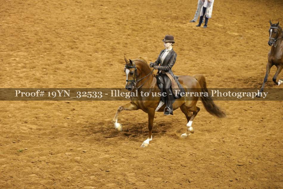Proof 19YN_32533
