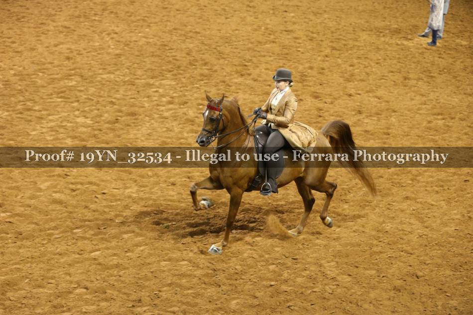 Proof 19YN_32534