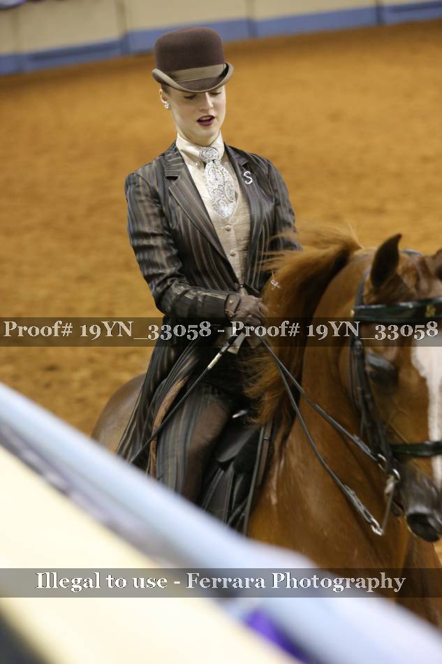 Proof 19YN_33058