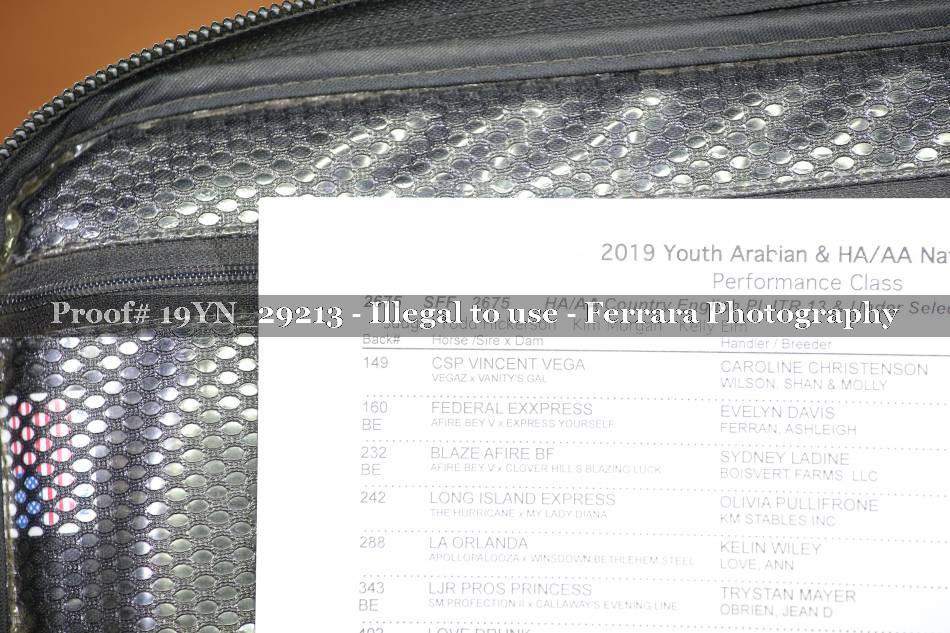 Proof 19YN_29213